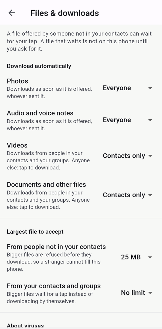 The Files and downloads screen: photos and voice notes from everyone, videos and documents from contacts only, and a 25 MB ceiling for strangers.