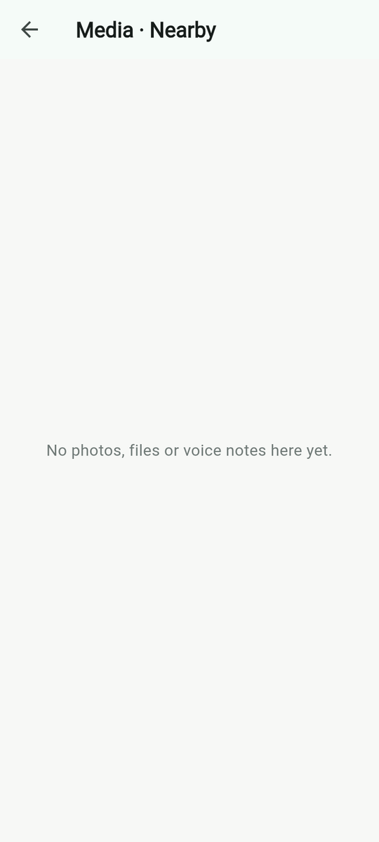 Media & files for a chat.