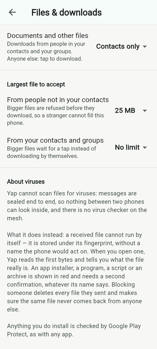 The size ceilings and the note about viruses.